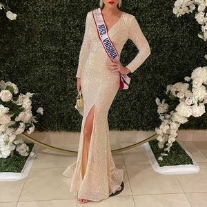 Alisha Hill #80150 champagne, long sleeve dress